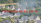 Recherche d'un feu par IA